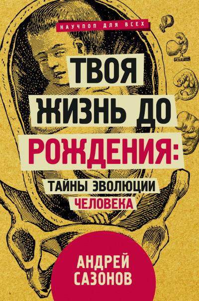 Твоя жизнь до рождения: тайны эволюции человека - Андрей Сазонов Слушать аудио книги онлайн без регистрации полностью бесплатно - knigavkarmane.net