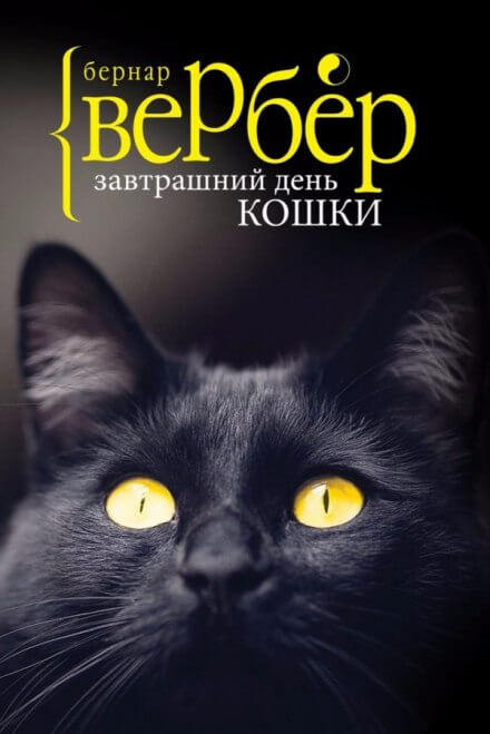 Завтрашний день кошки - Бернард Вербер Слушать аудио книги онлайн без регистрации полностью бесплатно - knigavkarmane.net