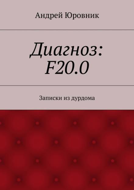 Диагноз: F20.0: Записки из дурдома - Андрей Юровник Слушать аудио книги онлайн без регистрации полностью бесплатно - knigavkarmane.net