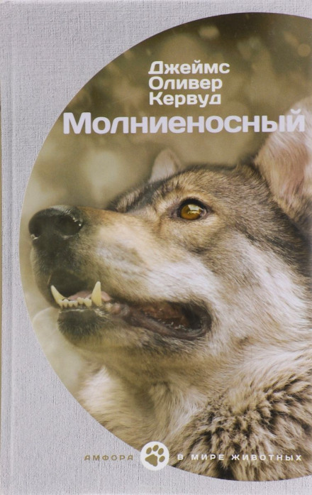 Молниеносный - Джеймс Оливер Кервуд Слушать аудио книги онлайн без регистрации полностью бесплатно - knigavkarmane.net