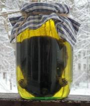 Кротовуха - Георгий Халапсин Слушать аудио книги онлайн без регистрации полностью бесплатно - knigavkarmane.net