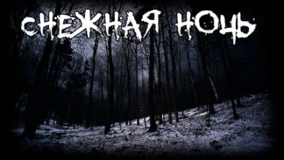 Снежная ночь - Вариор Слушать аудио книги онлайн без регистрации полностью бесплатно - knigavkarmane.net