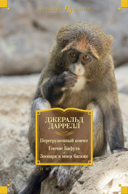 Гончие Бафута - Джеральд Даррелл Слушать аудио книги онлайн без регистрации полностью бесплатно - knigavkarmane.net