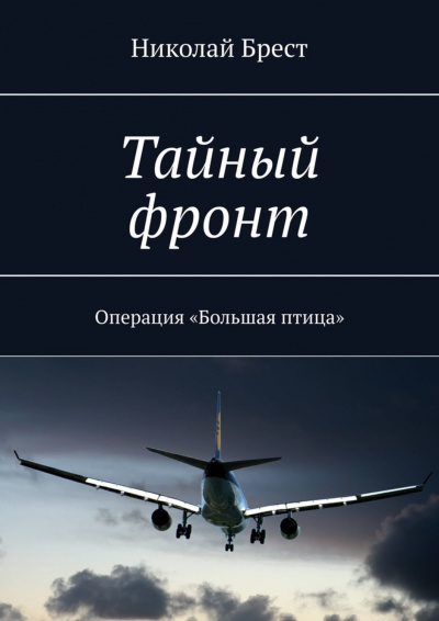Тайный фронт. Операция большая птица - Николай Брест Слушать аудио книги онлайн без регистрации полностью бесплатно - knigavkarmane.net