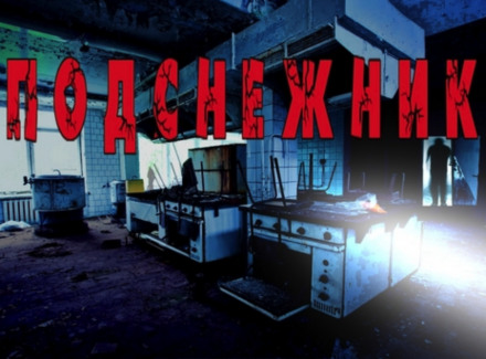 Подснежник - Георгий Немов Слушать аудио книги онлайн без регистрации полностью бесплатно - knigavkarmane.net