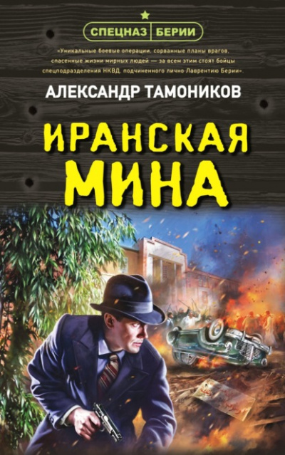 Иранская мина - Александр Тамоников Слушать аудио книги онлайн без регистрации полностью бесплатно - knigavkarmane.net