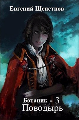 Поводырь - Евгений Щепетнов Слушать аудио книги онлайн без регистрации полностью бесплатно - knigavkarmane.net