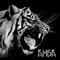 Амба - Сергей Казанцев Слушать аудио книги онлайн без регистрации полностью бесплатно - knigavkarmane.net