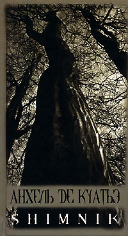 Схимник - Анхель де Куатьэ Слушать аудио книги онлайн без регистрации полностью бесплатно - knigavkarmane.net