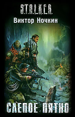 S.T.A.L.K.E.R. Слепое пятно - Виктор Ночкин Слушать аудио книги онлайн без регистрации полностью бесплатно - knigavkarmane.net