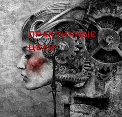 Практичные цели - Алексей Берсерк Слушать аудио книги онлайн без регистрации полностью бесплатно - knigavkarmane.net