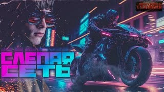 Слепая сеть - Борис Вишняков Слушать аудио книги онлайн без регистрации полностью бесплатно - knigavkarmane.net