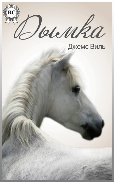 Дымка - Виль Джемс Слушать аудио книги онлайн без регистрации полностью бесплатно - knigavkarmane.net