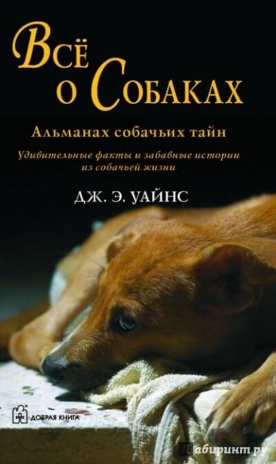 Все о собаках. Альманах собачьих тайн - Уайнс Дж.Э. Слушать аудио книги онлайн без регистрации полностью бесплатно - knigavkarmane.net