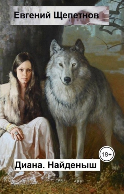 Найденыш - Евгений Щепетнов Слушать аудио книги онлайн без регистрации полностью бесплатно - knigavkarmane.net