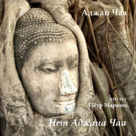 Нет Аджана Чаа - Аджан Чаа Слушать аудио книги онлайн без регистрации полностью бесплатно - knigavkarmane.net