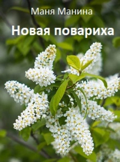 Новая повариха - Маня Манина Слушать аудио книги онлайн без регистрации полностью бесплатно - knigavkarmane.net
