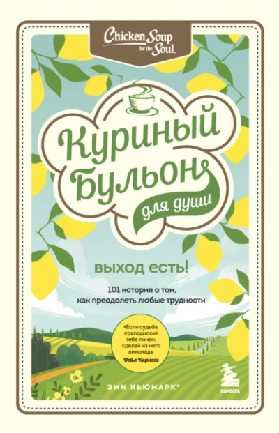 Куриный бульон для души. Выход есть! 101 история о том, как преодолеть любые трудности - Джек Кэнфилд Слушать аудио книги онлайн без регистрации полностью бесплатно - knigavkarmane.net