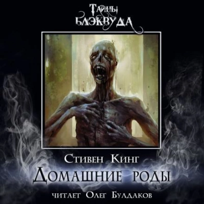 Домашние роды - Стивен Кинг Слушать аудио книги онлайн без регистрации полностью бесплатно - knigavkarmane.net