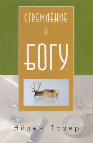 Стремление к Богу - Эйден Тозер Слушать аудио книги онлайн без регистрации полностью бесплатно - knigavkarmane.net