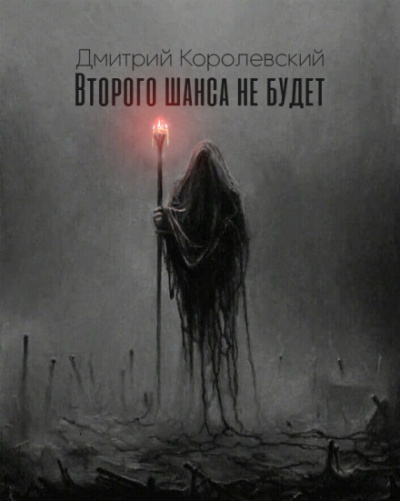 Второго шанса не будет - Дмитрий Королевский Слушать аудио книги онлайн без регистрации полностью бесплатно - knigavkarmane.net