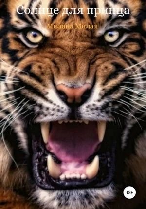 Солнце для принца - Милана Милая Слушать аудио книги онлайн без регистрации полностью бесплатно - knigavkarmane.net