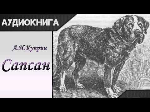 "Сапсан" А.И.Куприн. Аудиокнига Слушать аудио книги онлайн без регистрации полностью бесплатно - knigavkarmane.net