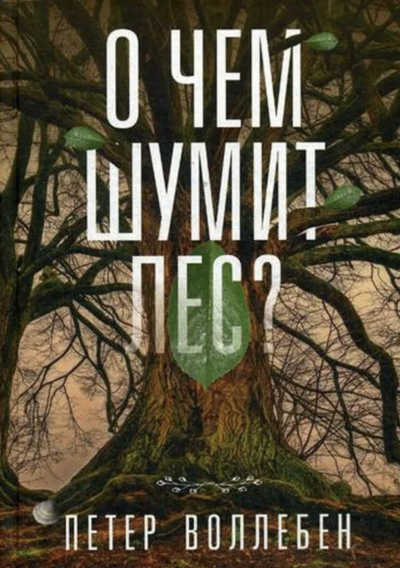 О чём шумит лес? - Петер Воллебен Слушать аудио книги онлайн без регистрации полностью бесплатно - knigavkarmane.net