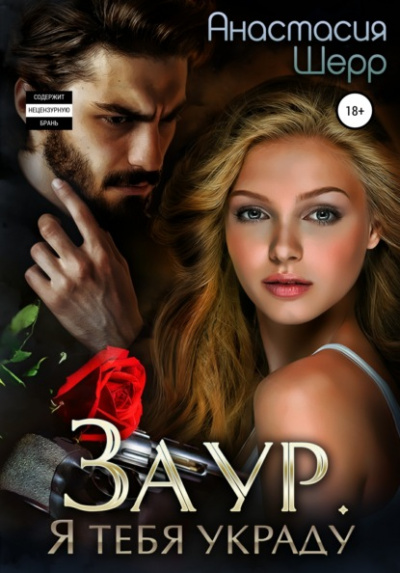 Заур. Я тебя украду - Анастасия Шерр Слушать аудио книги онлайн без регистрации полностью бесплатно - knigavkarmane.net