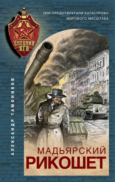 Мадьярский рикошет - Александр Тамоников Слушать аудио книги онлайн без регистрации полностью бесплатно - knigavkarmane.net
