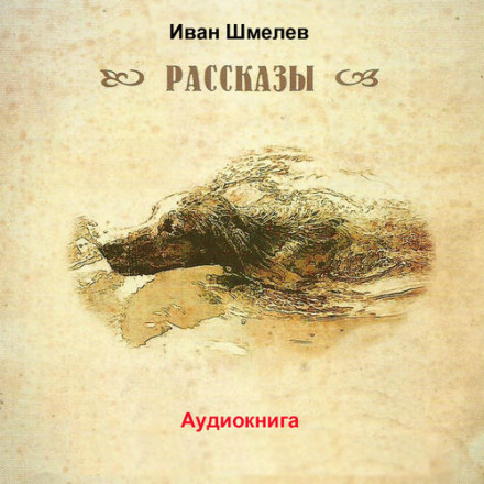 Последний выстрел - Иван Шмелёв Слушать аудио книги онлайн без регистрации полностью бесплатно - knigavkarmane.net
