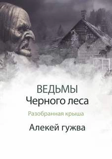 Разобранная крыша - Алексей Гужва Слушать аудио книги онлайн без регистрации полностью бесплатно - knigavkarmane.net