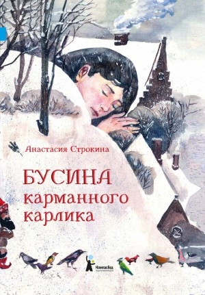 Бусина карманного карлика - Анастасия Строкина Слушать аудио книги онлайн без регистрации полностью бесплатно - knigavkarmane.net