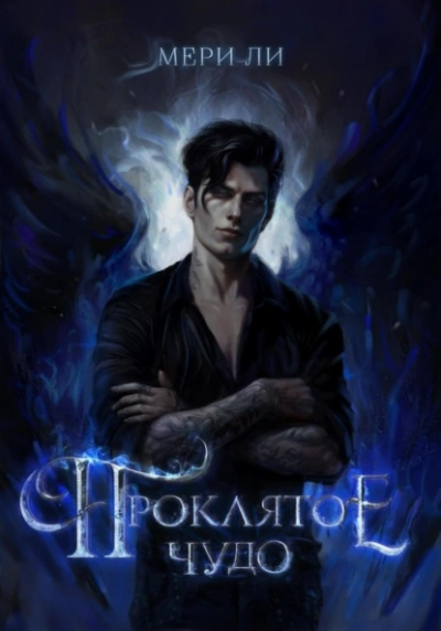 Проклятое чудо - Мери Ли Слушать аудио книги онлайн без регистрации полностью бесплатно - knigavkarmane.net