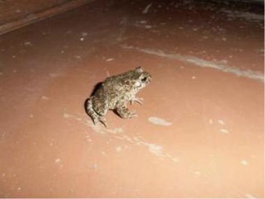 Письмо - Михаил Елизаров Слушать аудио книги онлайн без регистрации полностью бесплатно - knigavkarmane.net