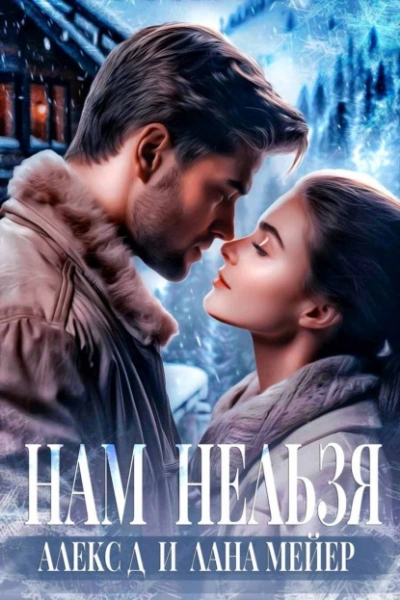 Нам нельзя - Алекс Д., Лана Мейер Слушать аудио книги онлайн без регистрации полностью бесплатно - knigavkarmane.net