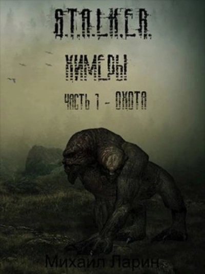 S.T.A.L.K.E.R. Охота - Михаил Ларин Слушать аудио книги онлайн без регистрации полностью бесплатно - knigavkarmane.net