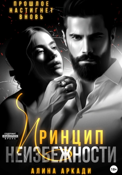 Принцип неизбежности - Алина Аркади Слушать аудио книги онлайн без регистрации полностью бесплатно - knigavkarmane.net