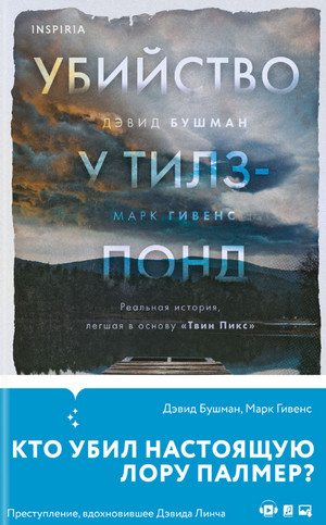 Убийство у Тилз-Понд - Марк Гивенс, Дэвид Бушман Слушать аудио книги онлайн без регистрации полностью бесплатно - knigavkarmane.net