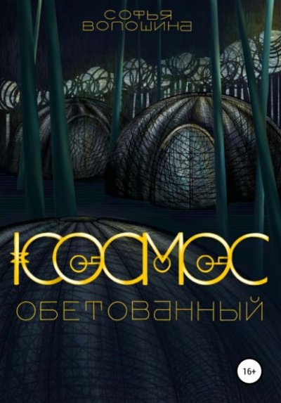 Космос обетованный - Софья Волошина Слушать аудио книги онлайн без регистрации полностью бесплатно - knigavkarmane.net