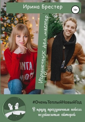 Игрушечных дел мастер - Ирина Брестер Слушать аудио книги онлайн без регистрации полностью бесплатно - knigavkarmane.net