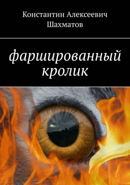 Фаршированный кролик - Константин Шахматов Слушать аудио книги онлайн без регистрации полностью бесплатно - knigavkarmane.net