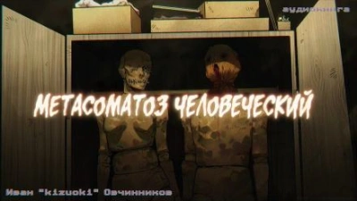 Метасоматоз человеческий - Иван Овчинников Слушать аудио книги онлайн без регистрации полностью бесплатно - knigavkarmane.net