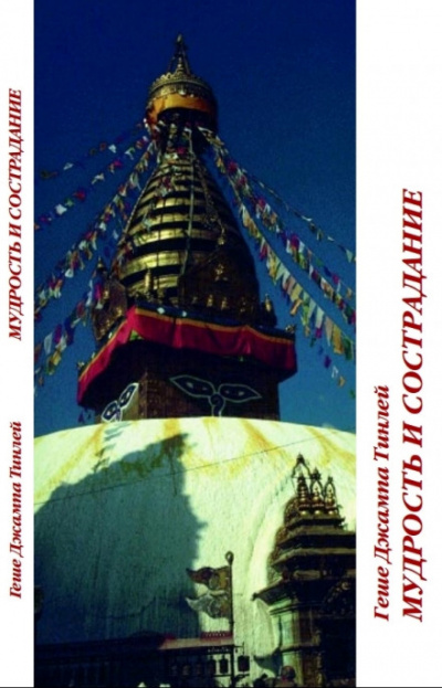 Мудрость и сострадание - Геше Джампа Тинлей Слушать аудио книги онлайн без регистрации полностью бесплатно - knigavkarmane.net