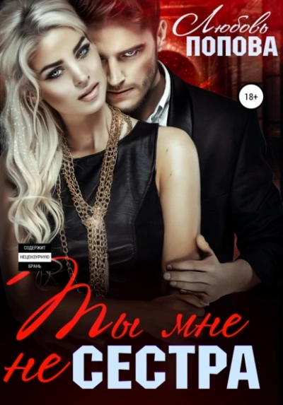 Ты мне не сестра - Любовь Попова Слушать аудио книги онлайн без регистрации полностью бесплатно - knigavkarmane.net