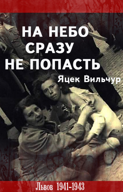 На небо сразу не попасть - Яцек Вильчур Слушать аудио книги онлайн без регистрации полностью бесплатно - knigavkarmane.net