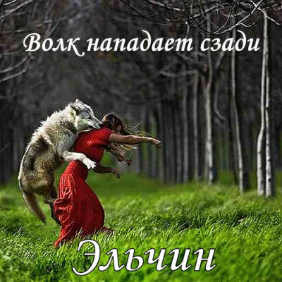 Волк нападает сзади - Эльчин Слушать аудио книги онлайн без регистрации полностью бесплатно - knigavkarmane.net