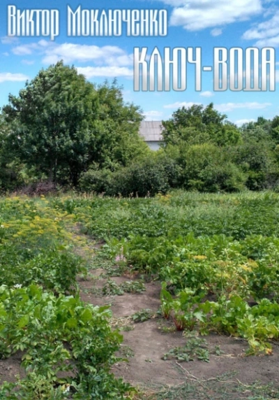 Ключ-вода - Виктор Моключенко Слушать аудио книги онлайн без регистрации полностью бесплатно - knigavkarmane.net