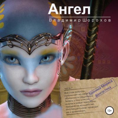 Ангел - Владимир Шорохов Слушать аудио книги онлайн без регистрации полностью бесплатно - knigavkarmane.net
