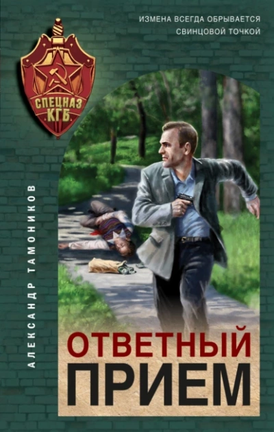 Ответный прием - Александр Тамоников Слушать аудио книги онлайн без регистрации полностью бесплатно - knigavkarmane.net